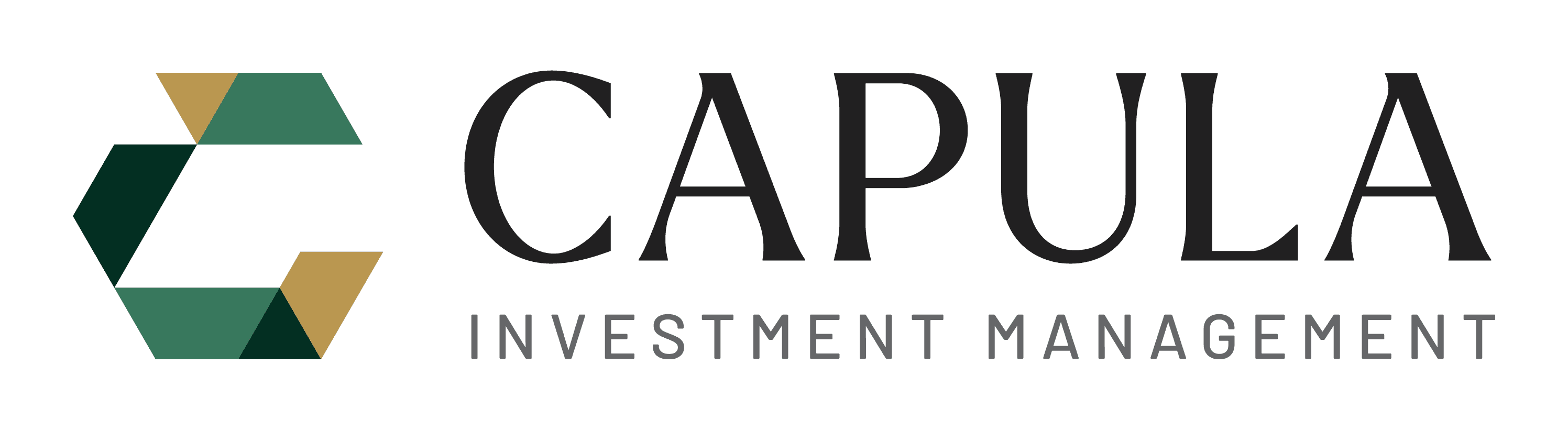 Capula Investment Management
